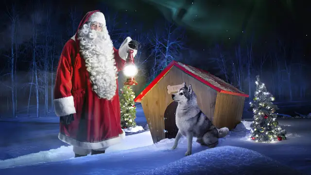 FOR SMALL CHILDREN 1-3 YEARS